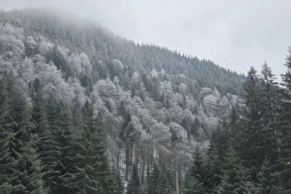 Snowy mountain road illustrating all-weather tires compliant with Quebec winter law
