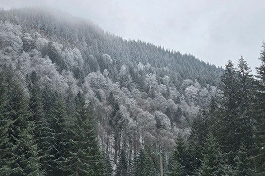 Snowy mountain road illustrating all-weather tires compliant with Quebec winter law