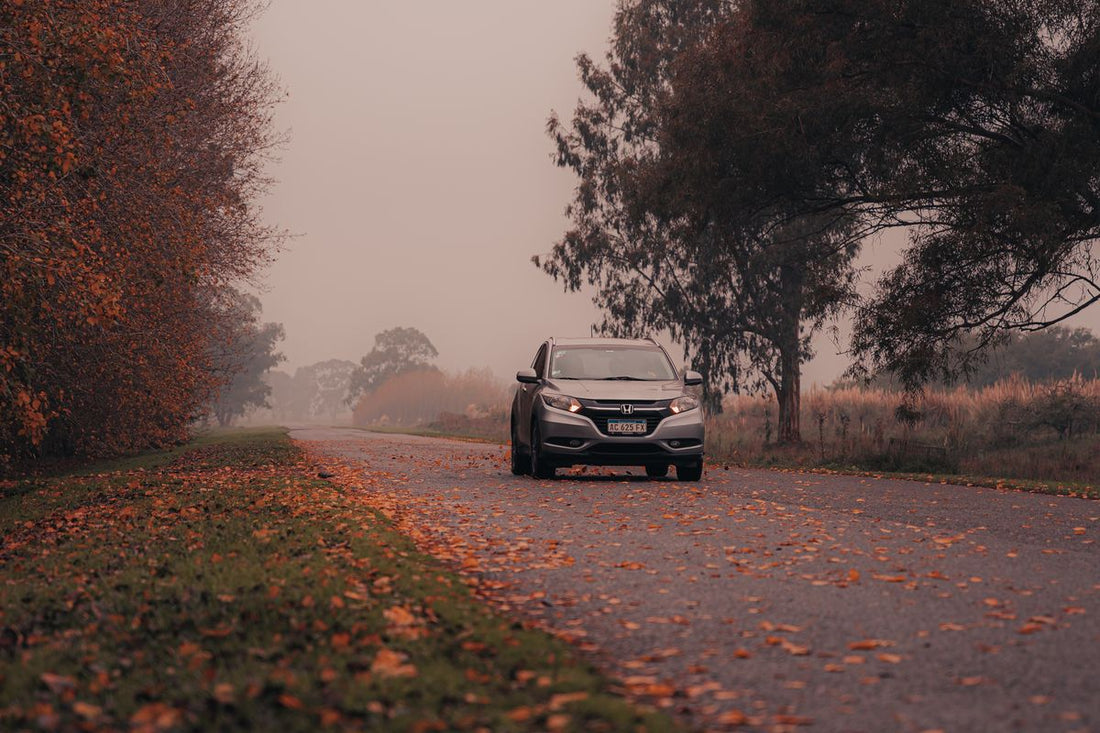 Car on an autumn road representing all-season tire performance in Montreal